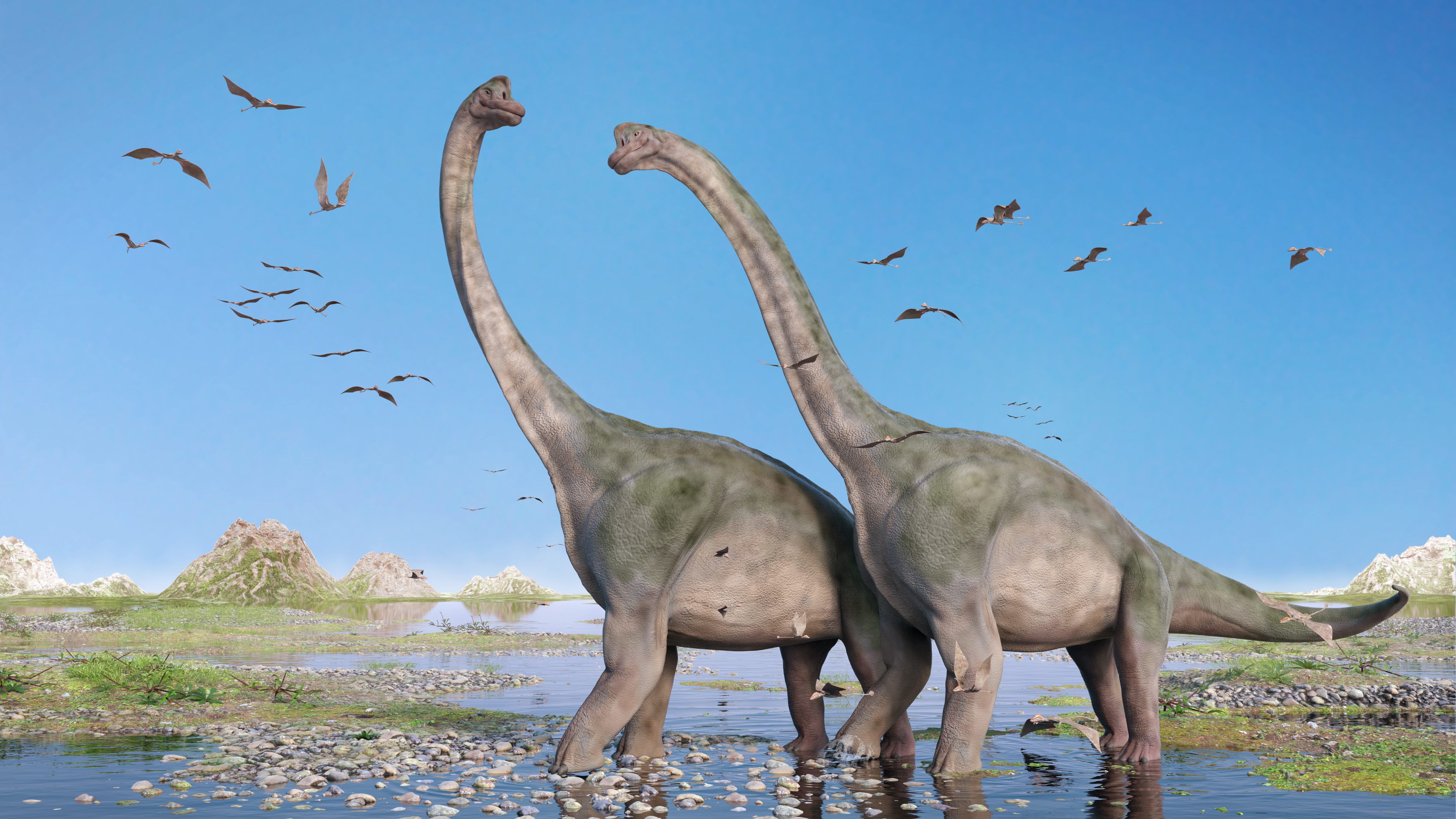 Dinosaur images